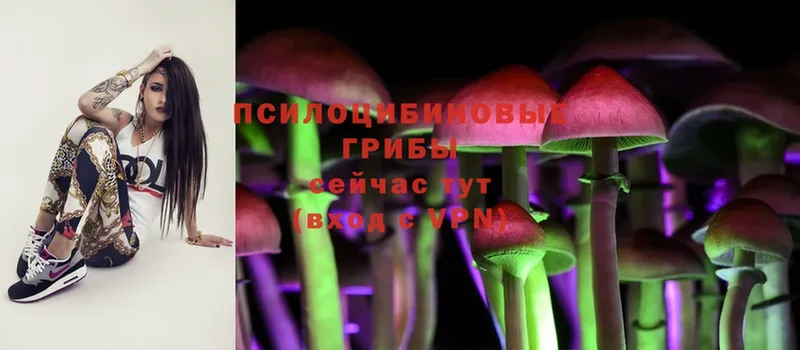 даркнет сайт  Кировград  Псилоцибиновые грибы Psilocybe 